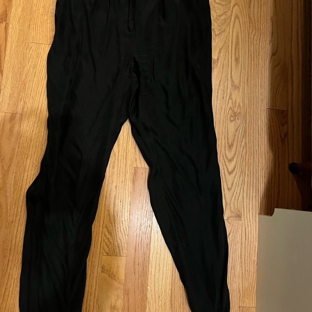 The Addison story lush silk joggers - photo doesn’t do it justice